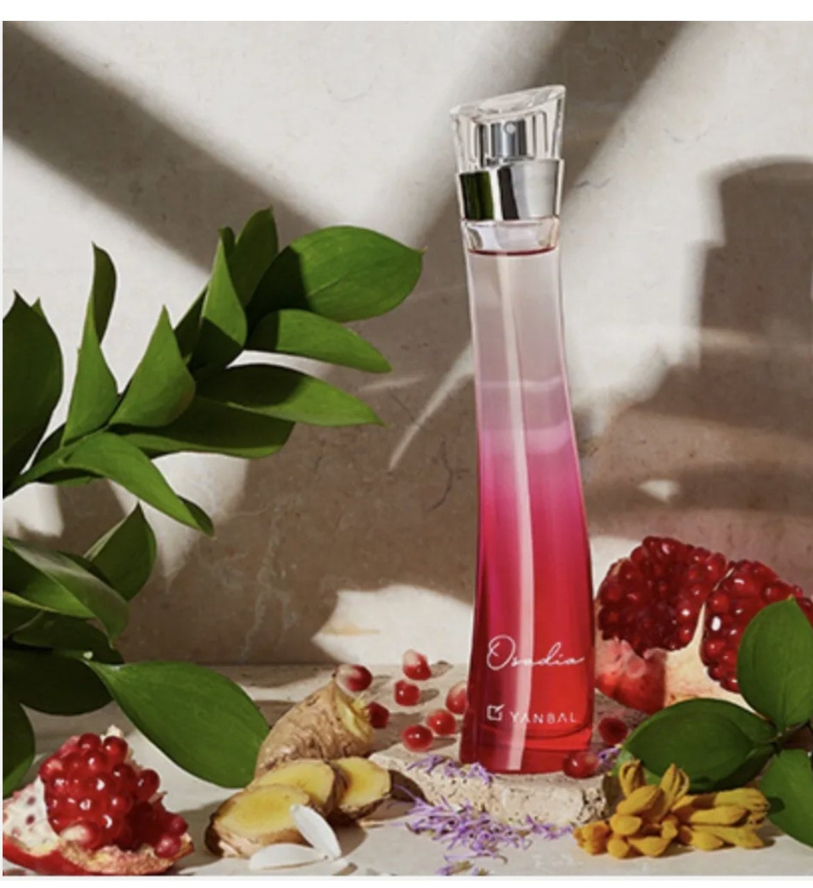 Yanbal Osadia Eau de Parfum for Women Perfume Para Mujer Free Shop